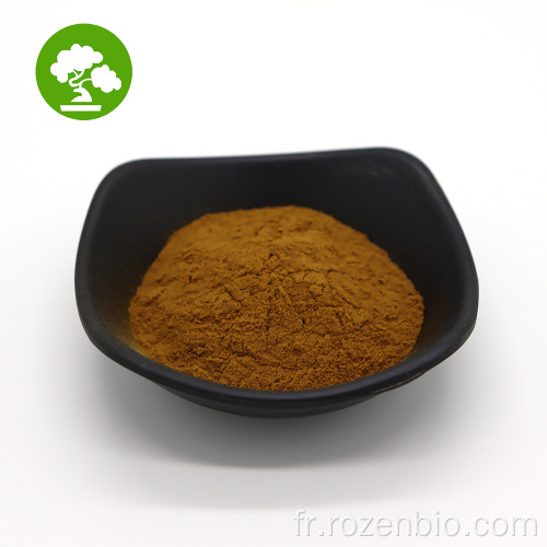 Extrait de maca noire de poudre naturelle biologique en gros